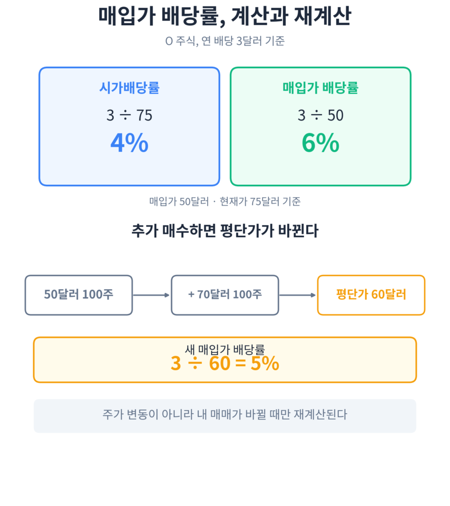 매입가 배당률 계산 예시 및 재계산 인포그래픽