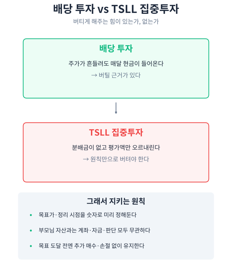 TSLL 집중투자 리스크 구조 인포그래픽