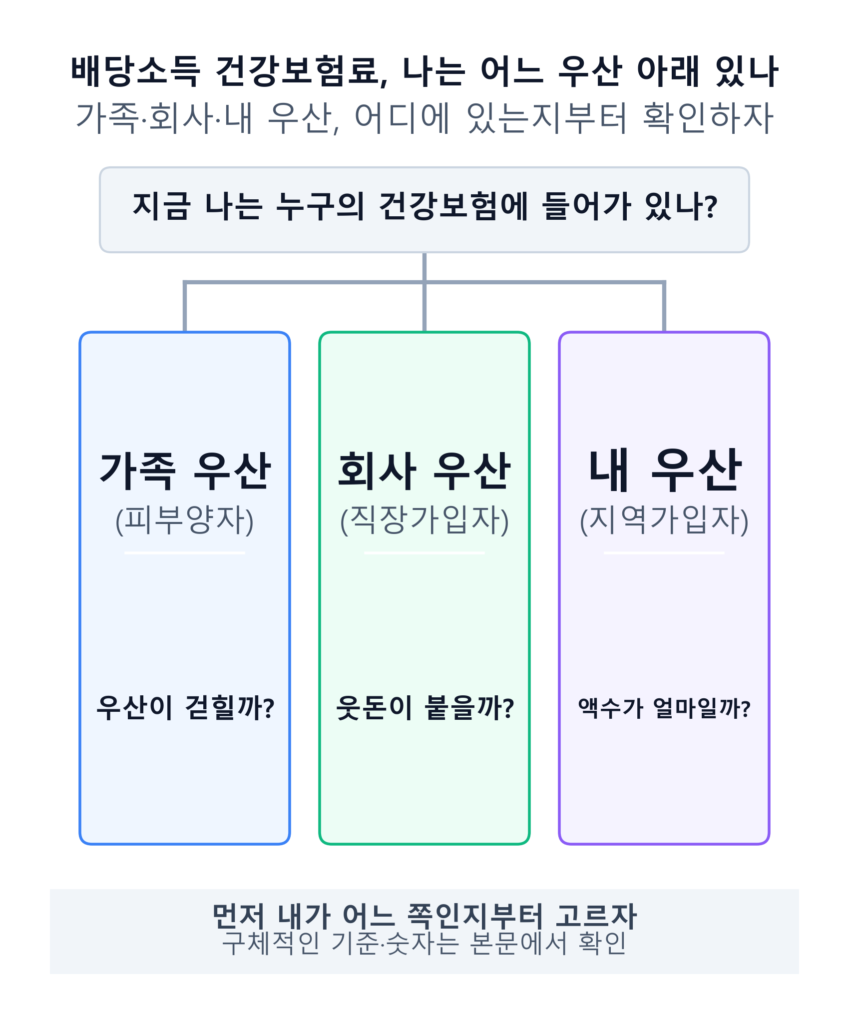 배당소득 건강보험료 — 가족 건강보험(피부양자)·회사 건강보험(직장가입자)·지역가입자 중 어디에 있는지 확인하는 3갈래 분기도 인포그래픽